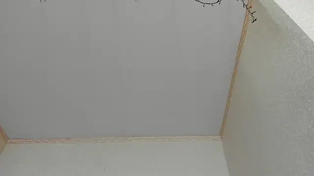 Browni Kiss online show from January 16, 2025, 7:49 am