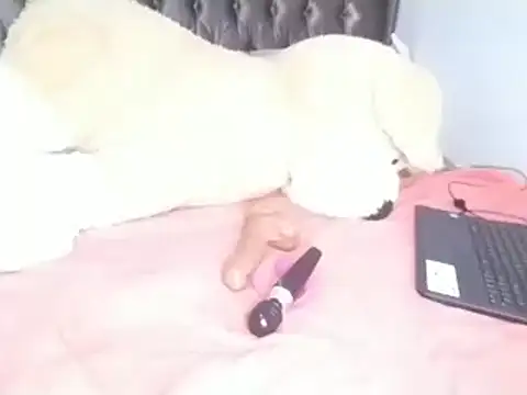 Snapshot of Chandy012 chatting on April 8, 2026, 6:13 am Chandy012 online show from April 8, 2026, 6:13 am