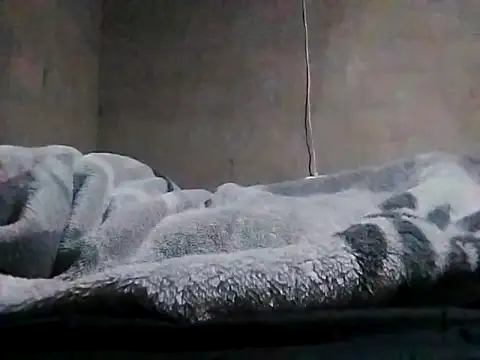 Snapshot of LaneYam chatting on March 24, 2026, 8:03 pm LaneYam online show from March 24, 2026, 8:03 pm