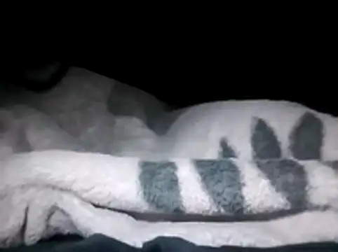 Snapshot of LaneYam chatting on March 28, 2026, 12:32 am LaneYam online show from March 28, 2026, 12:32 am