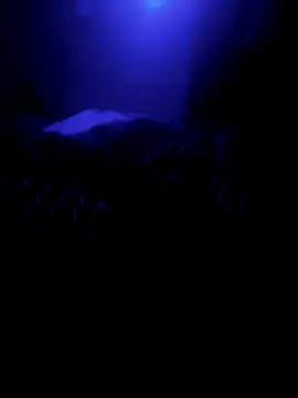 Snapshot of Raziv_komal143 chatting on February 26, 2025, 12:16 am Raziv komal143 online show from February 26, 2025, 12:16 am