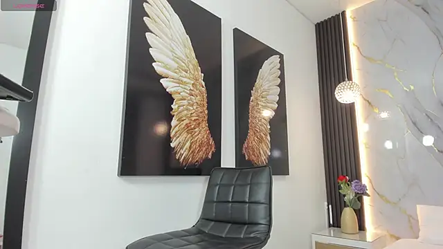 Snapshot of raven_li chatting on January 28, 2025, 4:08 pm raven li online show from January 28, 2025, 4:08 pm