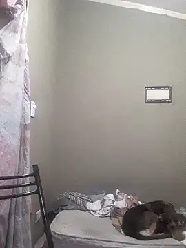 EstebanAkyLu online show from April 27, 2026, 2:09 am