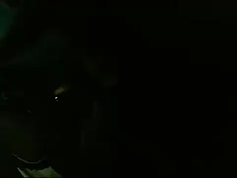 Snapshot of Lliam_2 chatting on January 20, 2025, 6:31 am Lliam 2 online show from January 20, 2025, 6:31 am