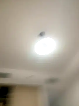 Snapshot of SexySophiaax chatting on October 20, 2025, 1:00 pm SexySophiaax online show from October 20, 2025, 1:00 pm