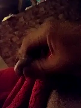 srecet online show from February 1, 2025, 9:43 am