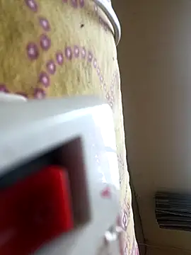 Royyy dandol online show from February 17, 2026, 6:32 am