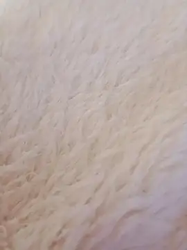 feketedemon36 online show from January 21, 2025, 9:15 pm