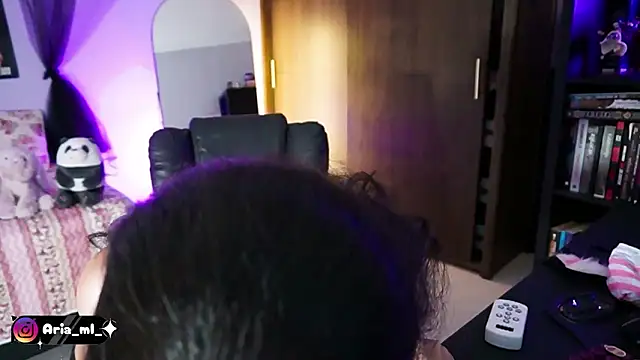 Snapshot of AriaMoonLight chatting on February 21, 2026, 12:17 pm AriaMoonLight online show from February 21, 2026, 12:17 pm