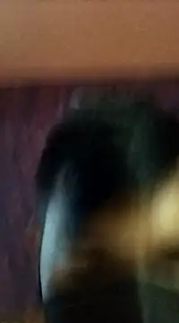 randit7 online show from January 27, 2025, 2:42 am