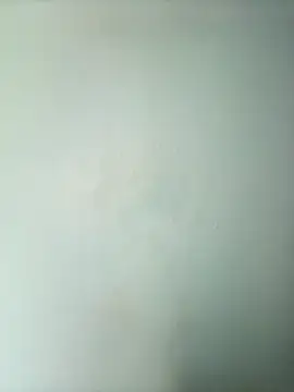 randit7 online show from March 2, 2025, 2:19 am