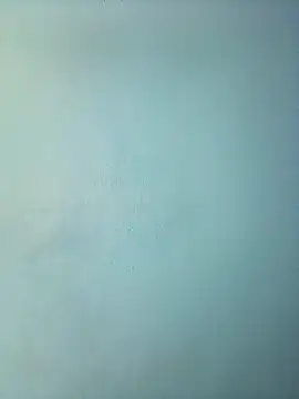 randit7 online show from March 12, 2025, 11:53 am