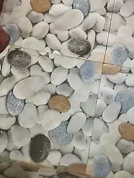 Playboy bhabhi 00 online show from February 8, 2025, 7:26 am