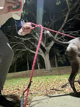 sexyhotstud12 online show from February 18, 2025, 4:26 am