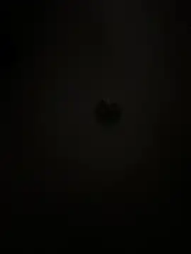 Boneca25 online show from February 5, 2026, 8:30 am