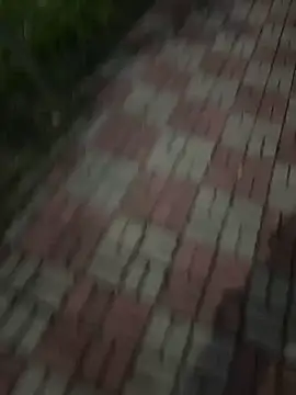 Phil 6677 online show from October 12, 2025, 6:51 pm