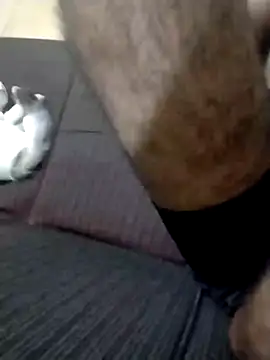 DOMINADOR5 online show from February 9, 2025, 12:49 am