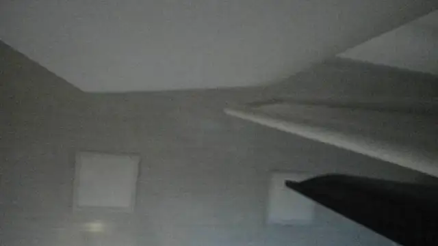ninna curly online show from June 25, 2026, 3:17 am