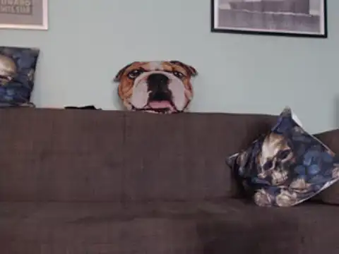 Astrid-Gilbert online show from February 5, 2025, 11:12 am