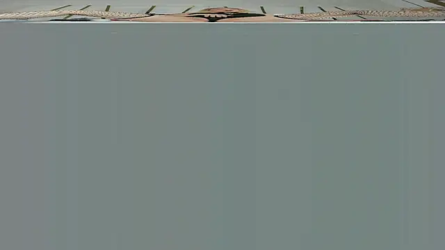 violet gray  online show from September 13, 2025, 10:53 pm