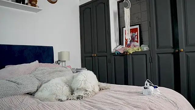 Snapshot of tattoo_ninja_kittyy chatting on October 16, 2025, 8:21 pm tattoo ninja kittyy online show from October 16, 2025, 8:21 pm