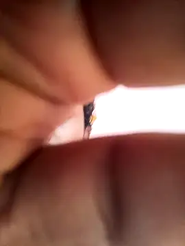 bigcock thick online show from March 1, 2025, 1:43 am