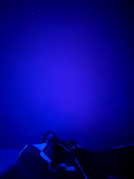 Dehtrans online show from March 11, 2026, 9:15 am