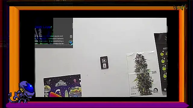 ReyDeBotones online show from March 14, 2025, 9:00 pm