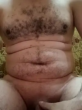 Arabian online show from November 12, 2025, 3:12 pm