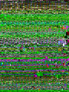 Snapshot of Uncleuncutmushroom chatting on July 14, 2026, 7:57 am Uncleuncutmushroom online show from July 14, 2026, 7:57 am