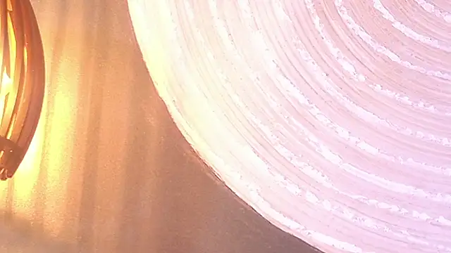 lissa palmer online show from November 30, 2025, 3:10 am