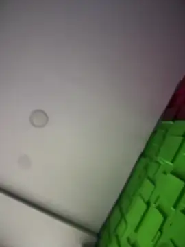 Dulce  Boyd online show from January 19, 2026, 1:59 pm