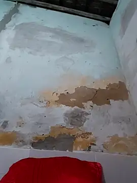 Snapshot of shuelldin chatting on October 29, 2025, 2:47 am shuelldin online show from October 29, 2025, 2:47 am