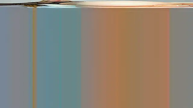 rouss witt online show from March 7, 2025, 8:22 pm