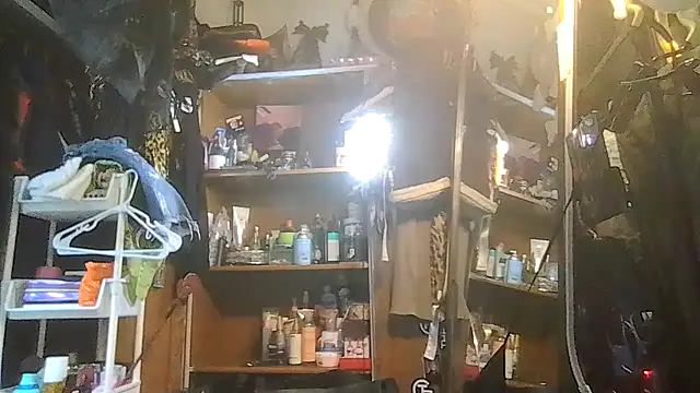 ShysluutGia online show from January 31, 2026, 10:08 pm