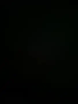 PerfectOutlet1 online show from February 27, 2025, 2:54 pm