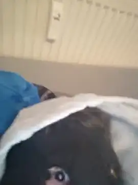 Bigdicklove42x online show from February 6, 2026, 6:40 am