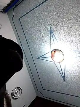 zoi78 online show from February 14, 2025, 7:49 am