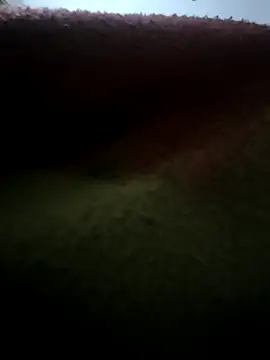 urrubybaby online show from February 17, 2025, 2:59 pm