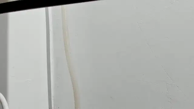 Aleshkastone online show from January 11, 2026, 3:39 pm