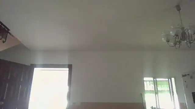 llopaco online show from June 20, 2026, 10:18 am
