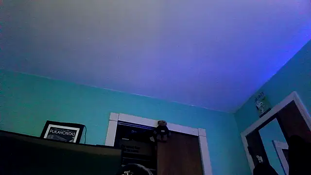 Snapshot of Novabear6996 chatting on March 22, 2026, 11:13 am Novabear6996 online show from March 22, 2026, 11:13 am