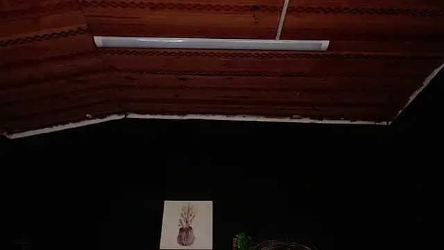 fyreandfox  online show from November 18, 2025, 6:56 pm