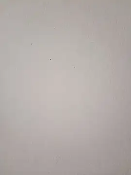 EmmaSulivan online show from March 9, 2026, 11:03 am