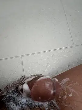 Tyaniks online show from September 30, 2025, 10:53 am