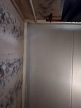 Snapshot of AliniX chatting on March 7, 2026, 10:23 am AliniX online show from March 7, 2026, 10:23 am