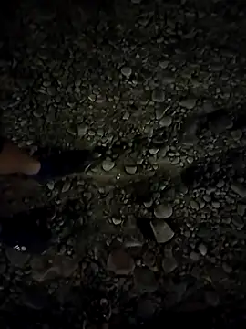 Snapshot of Kassie_Greys chatting on March 4, 2025, 3:33 am Kassie Greys online show from March 4, 2025, 3:33 am