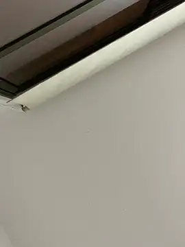 Snapshot of tu-bebitaa chatting on March 12, 2025, 7:02 am tu-bebitaa online show from March 12, 2025, 7:02 am