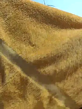 Tocameamor online show from February 21, 2026, 9:05 pm