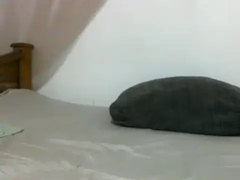 Snapshot of sissydinu chatting on February 28, 2025, 6:10 am sissydinu online show from February 28, 2025, 6:10 am